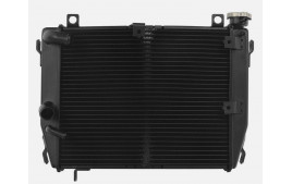 Radiateur d'Eau APRILIA RS 660 (2021-2023)