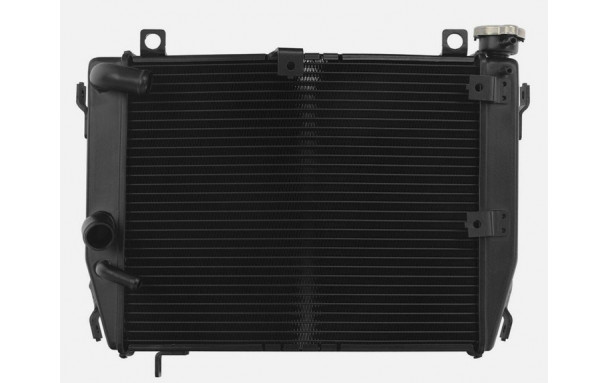 Radiateur d'Eau APRILIA RS 660 (2021-2023)