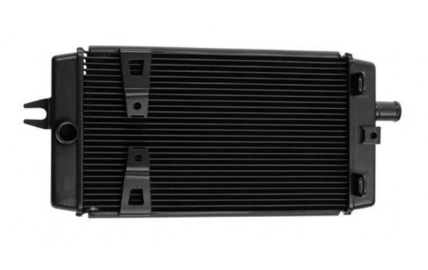 Radiateur d'Eau TRIUMPH hruxton 1200 R (2017-2018)