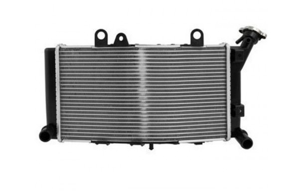 Radiateur d'Eau BMW F 850 GS (2019-2023)