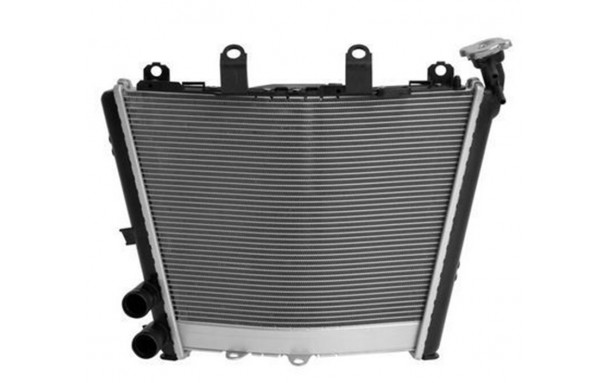 Radiateur d'Eau BMW S 1000 R (2021-2022),  S 1000 RR (2019-2022)