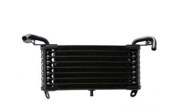 Radiateur d'Eau BMW S 1000 RR (2009-2011)