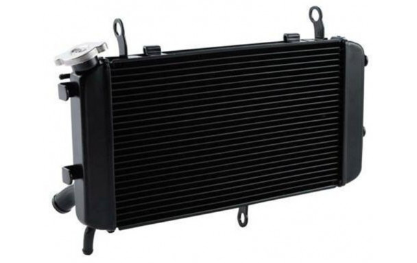 Radiateur d'Eau SUZUKI GSX-S 750, GSX-R (2018-2019)