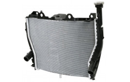 Radiateur d'Huile BMW S 1000 RR (2009-2019)